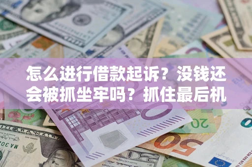 北京怎么进行借款起诉？没钱还会被抓坐牢吗？抓住最后机会！