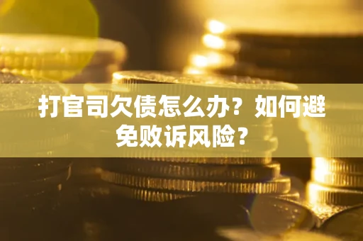 北京打官司欠债怎么办？如何避免败诉风险？