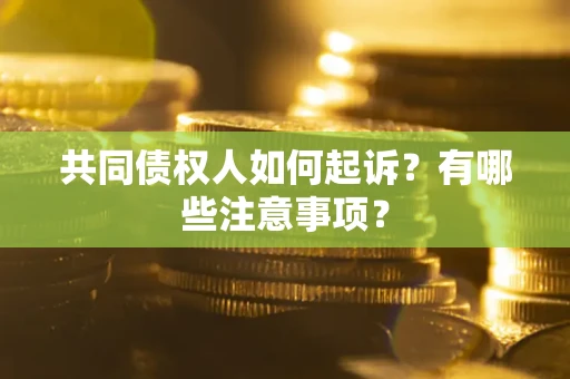 北京共同债权人如何起诉？有哪些注意事项？